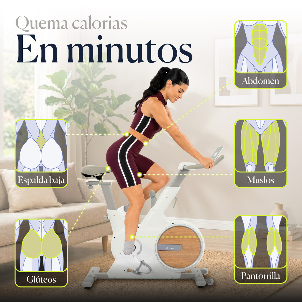 Bicicleta Spinning Estatica Para Ejercicio Profesional Eleva