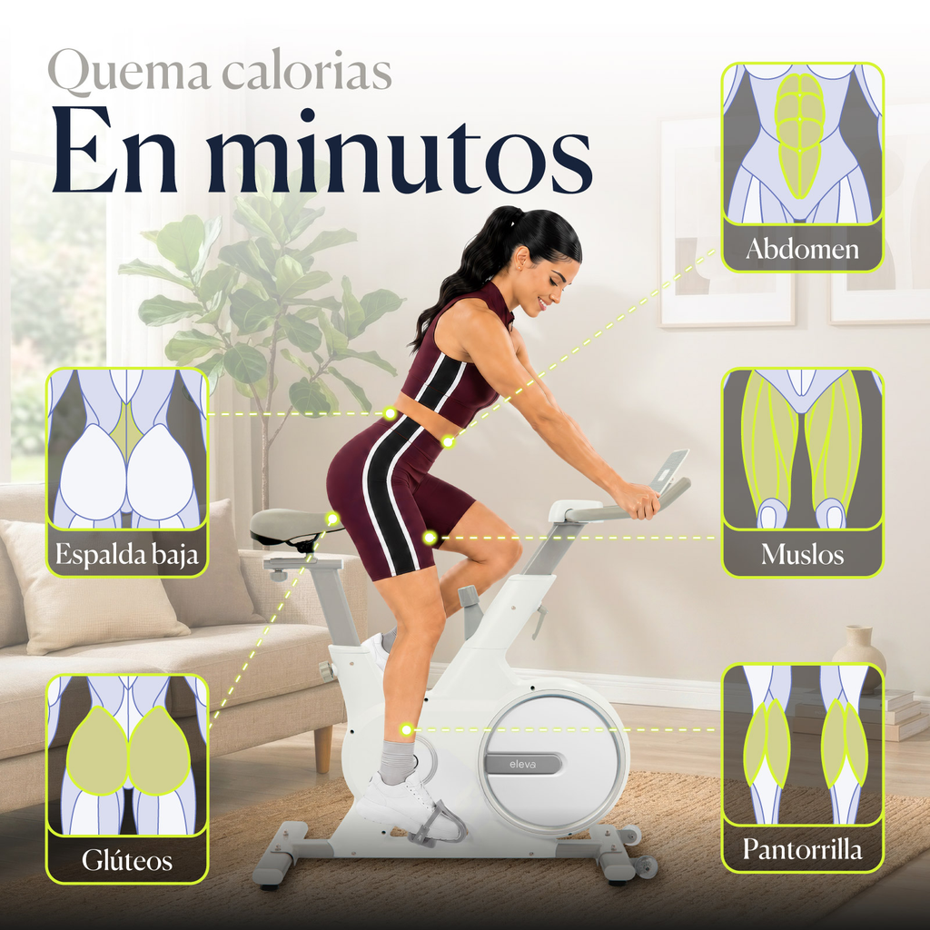 Bicicleta Spinning Estatica Para Ejercicio Profesional Eleva