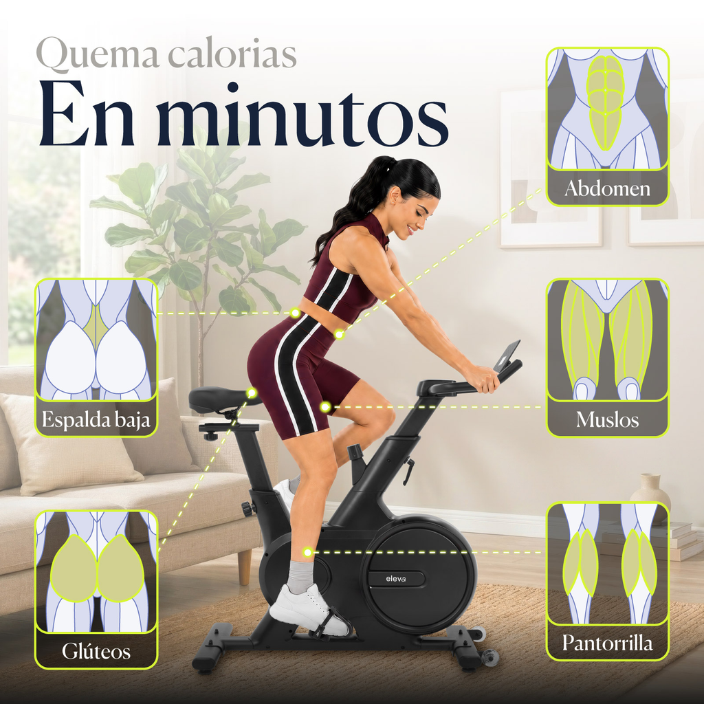 Bicicleta Spinning Estatica Para Ejercicio Profesional Eleva