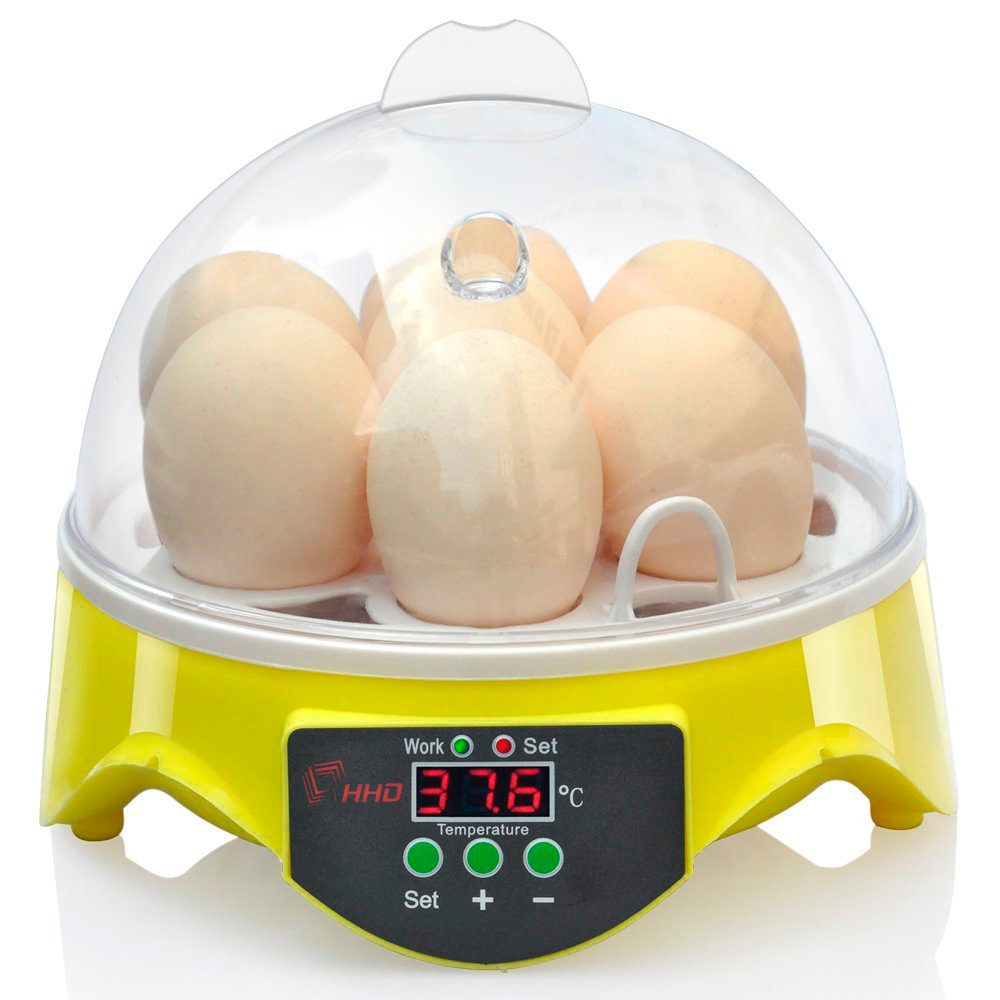 Incubadora De 7 Huevos Digital Pato Gallina Pollo Pavo - ordena-com.myshopify.com