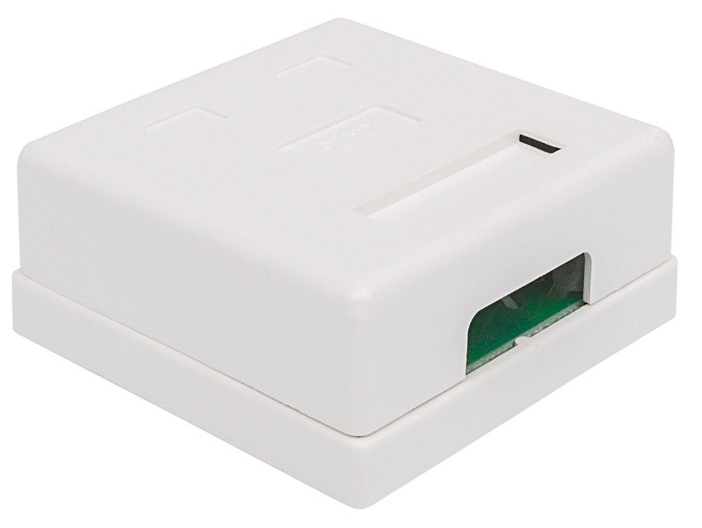 Intellinet 790826 Caja Para Pared Roseta Rj45 Cat5 E 2 Ptos C/Bloqueo - ordena-com.myshopify.com