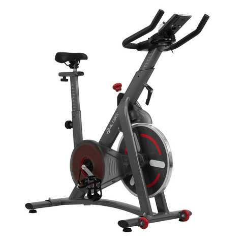 Bicicleta Spinning De Resistencia Magnetica Ajustable 10 Kg