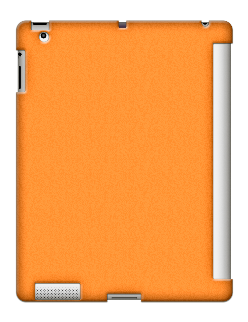 Funda Trasera Para I Pad 2 Gris