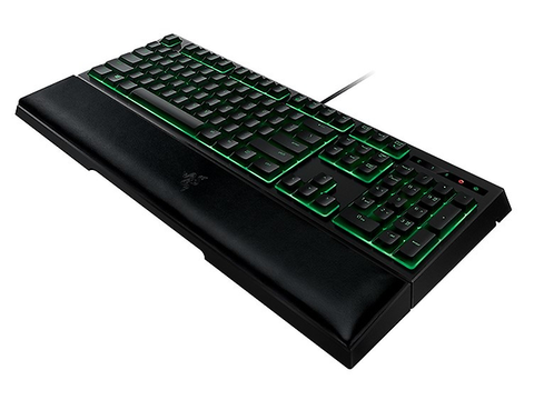 Razer Ornata Teclado Gamer  Led Verde, Alámbrico,Negro,Español,Rz03 02042600 R311 - ordena-com.myshopify.com