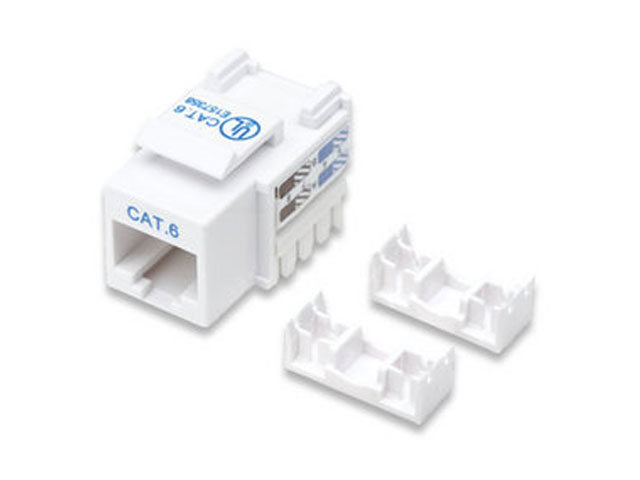 Intellinet 210591 Jack Cat 6 De Impacto Keystone Blanco