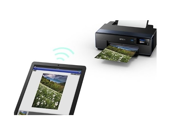 Epson P400 Impresora Sure Color 9 5 Ppm A3 Fotografica W Ifi - ordena-com.myshopify.com
